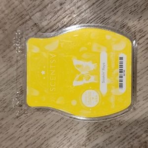 Scentsy soakin rays bar